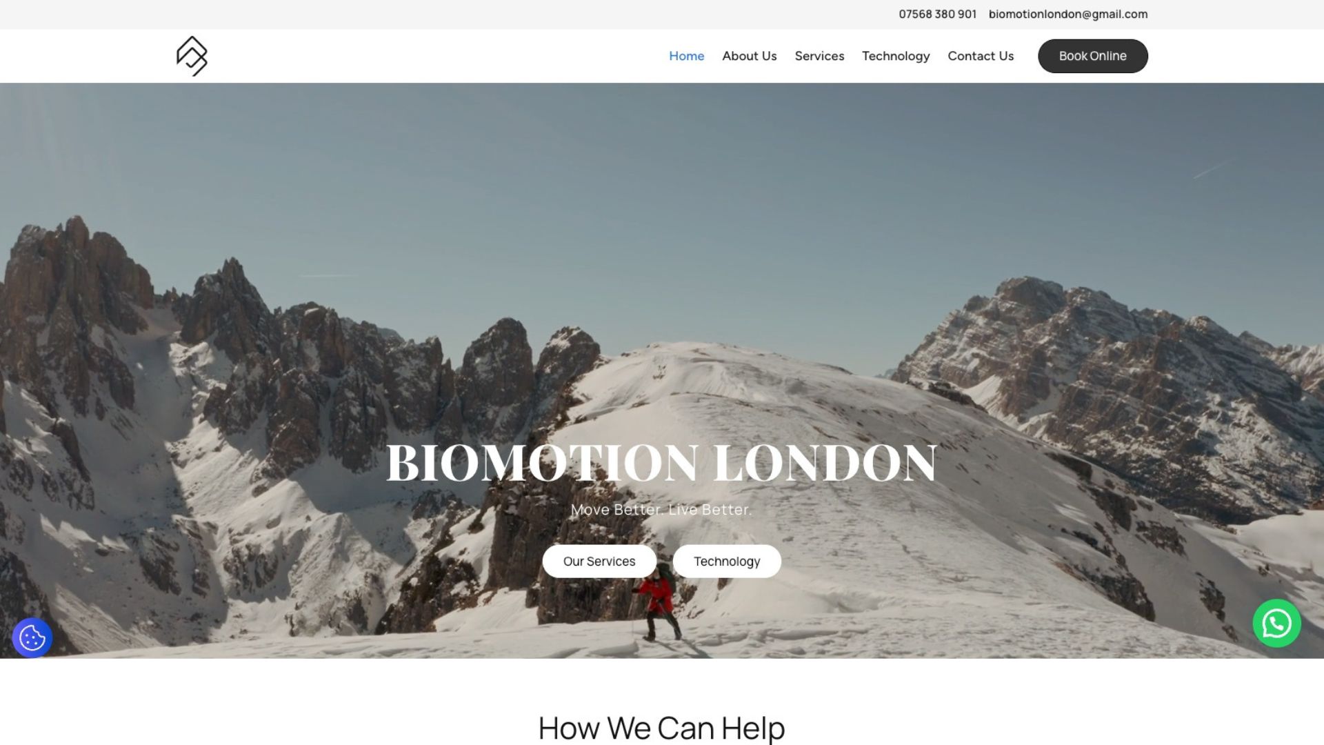 Website Design for Advanced Diagnostic Assessments